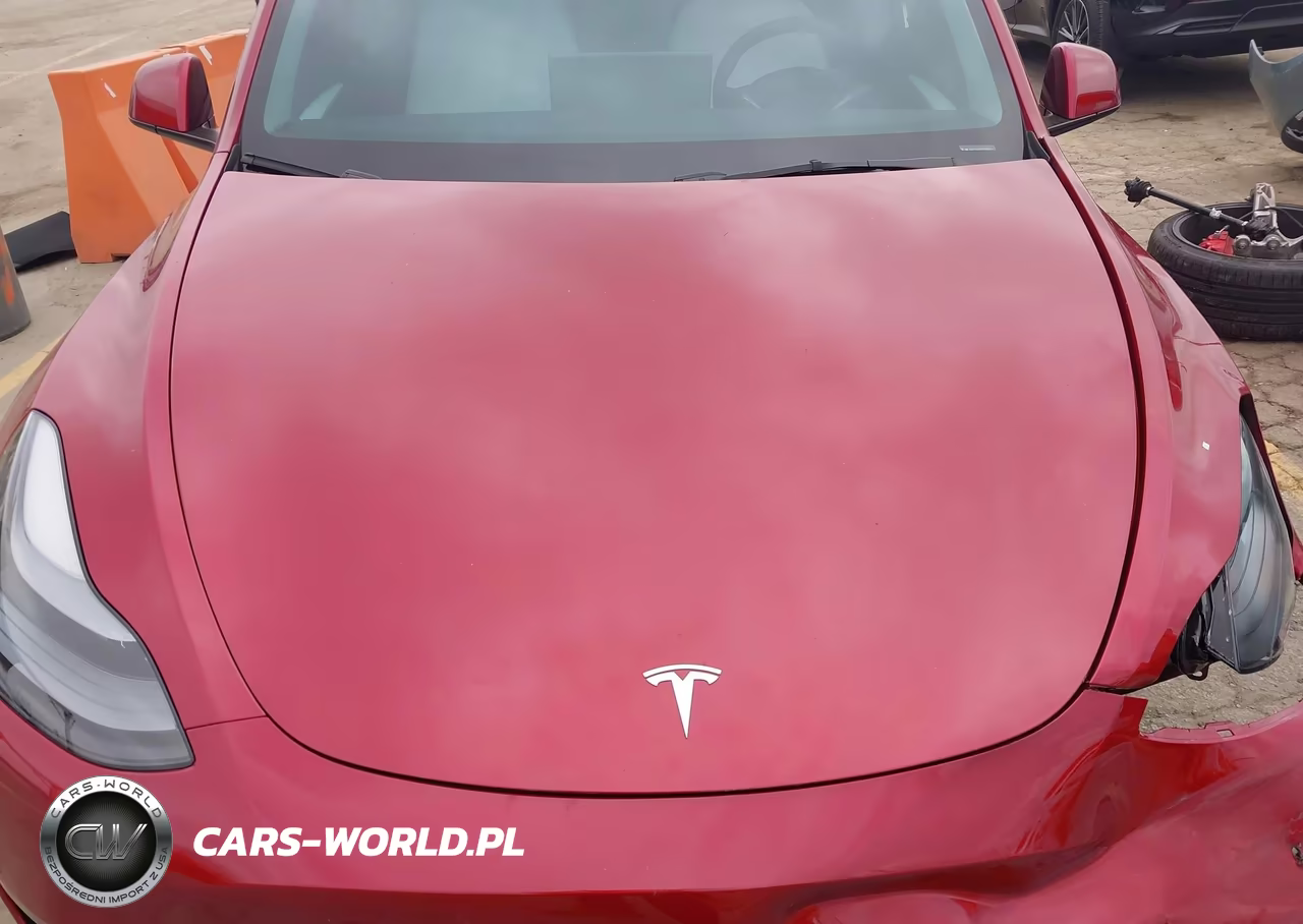 2024 Tesla Model Y Performance Dual Motor All-Wheel Drive VIN:7SAYGDEF9RF160544 - 10