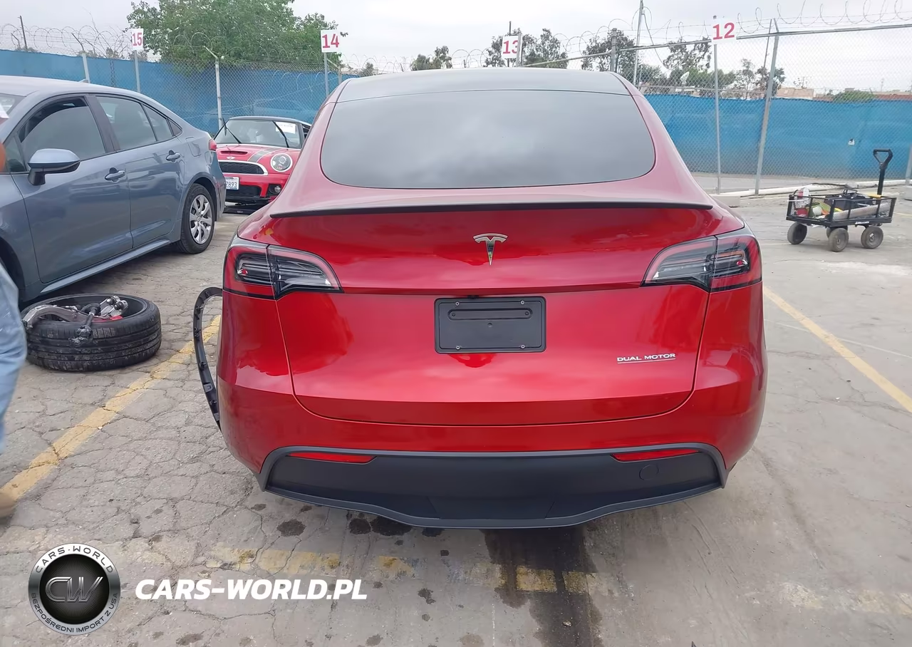 2024 Tesla Model Y Performance Dual Motor All-Wheel Drive VIN:7SAYGDEF9RF160544 - 17