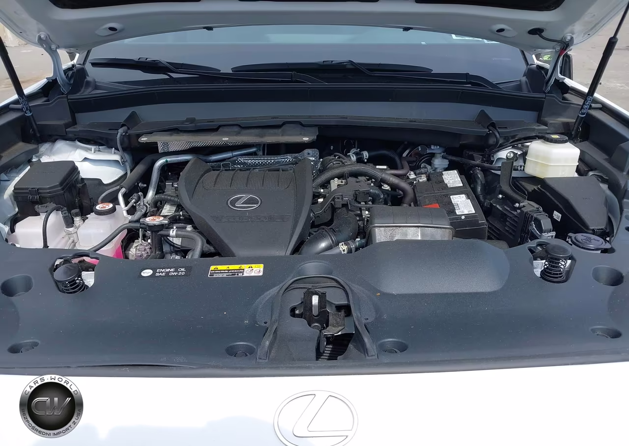 2024 Lexus Tx 350 Premium VIN:5TDAAAB66RS016996 - 10