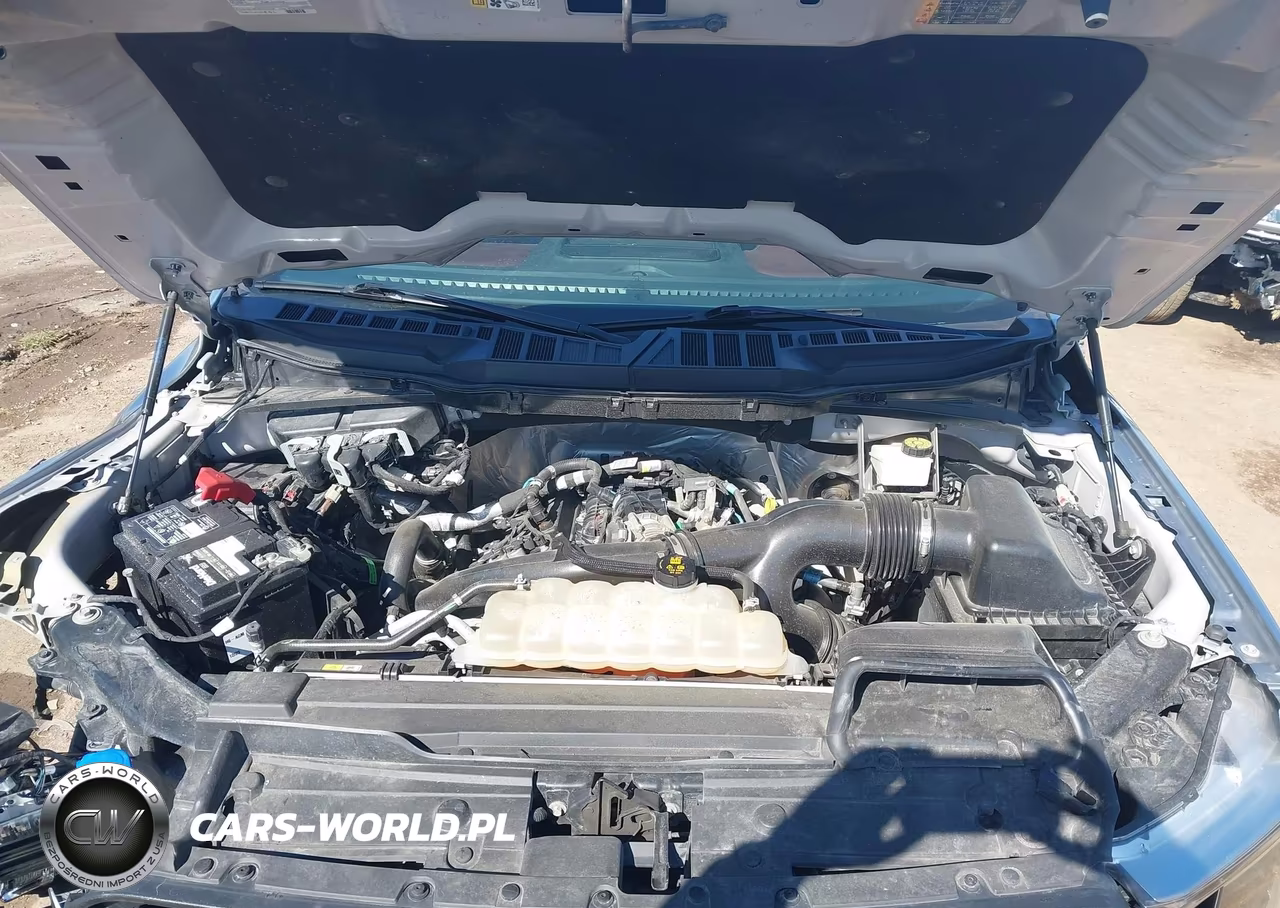 2021 Ford F-150 Lariat VIN:1FTEW1EPXMKD76635 - 10