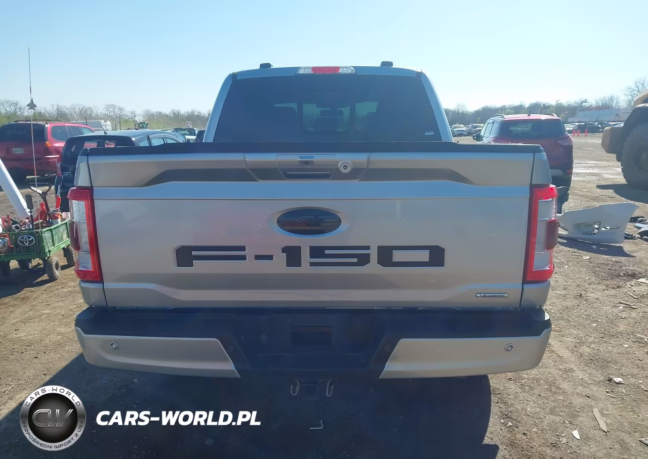 2021 Ford F-150 Lariat VIN:1FTEW1EPXMKD76635 - 17