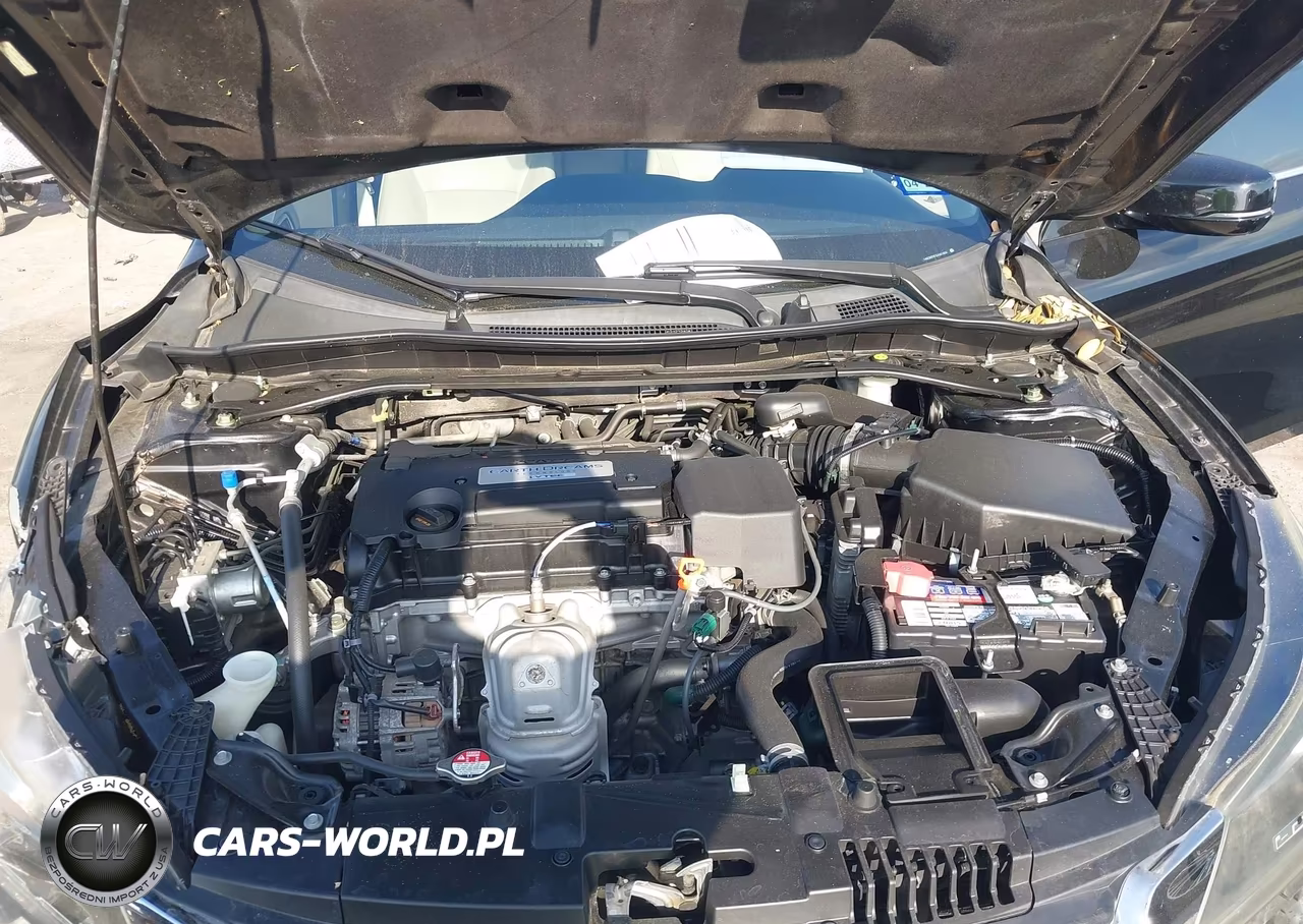 2014 Honda Accord Ex-L VIN:1HGCR2F81EA301004 - 10