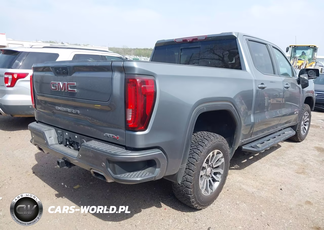 2020 GMC Sierra 1500 4Wd Short Box At4 VIN:3GTP9EEL8LG157442 - 4