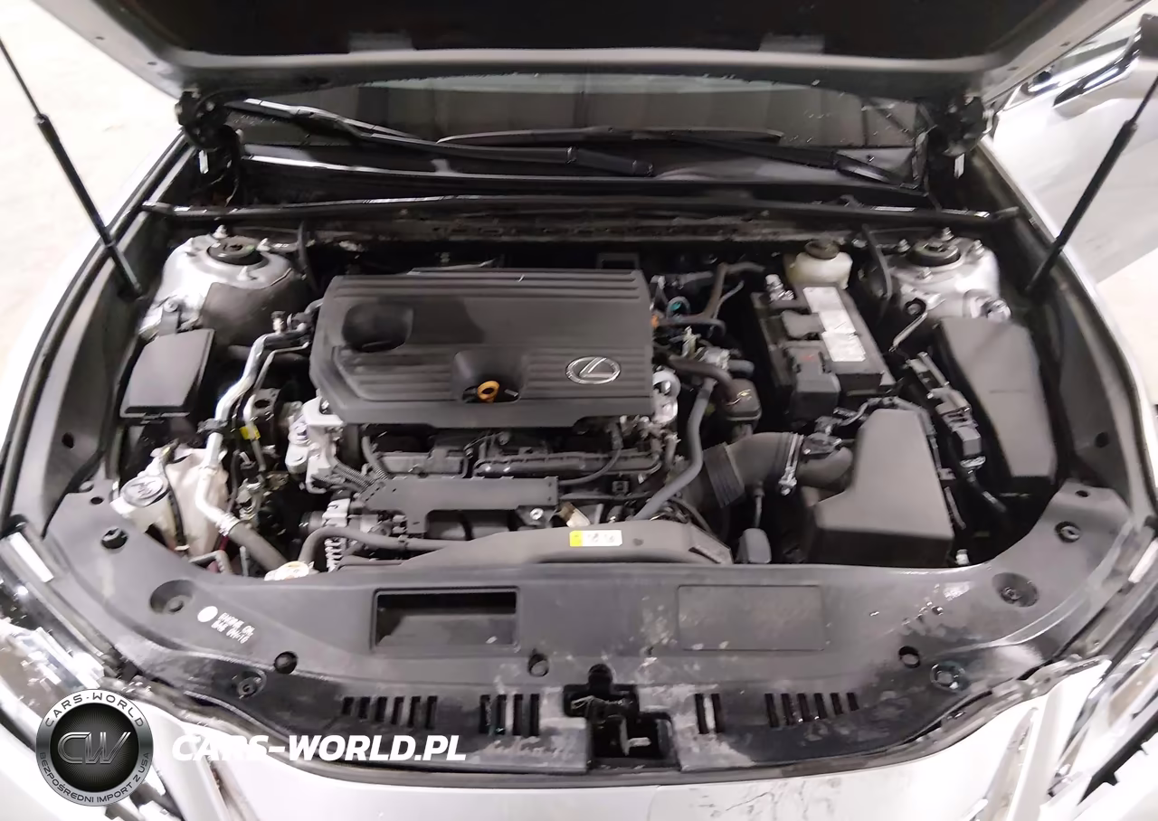 2022 Lexus Es 250 VIN:58AD11D18NU008925 - 10
