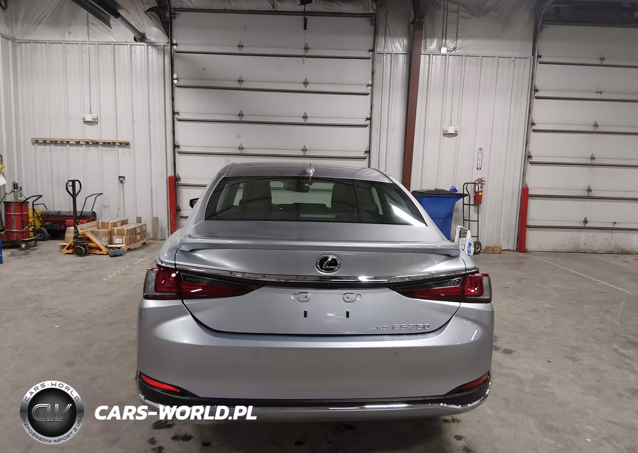2022 Lexus Es 250 VIN:58AD11D18NU008925 - 17