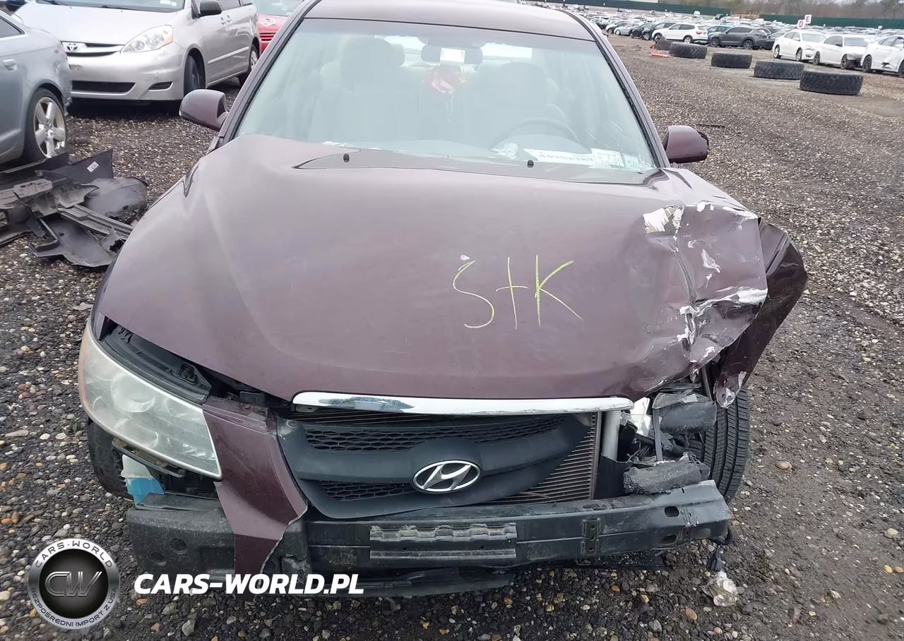 2006 Hyundai Sonata Gls V6-Lx V6 VIN:5NPEU46F36H012717 - 10