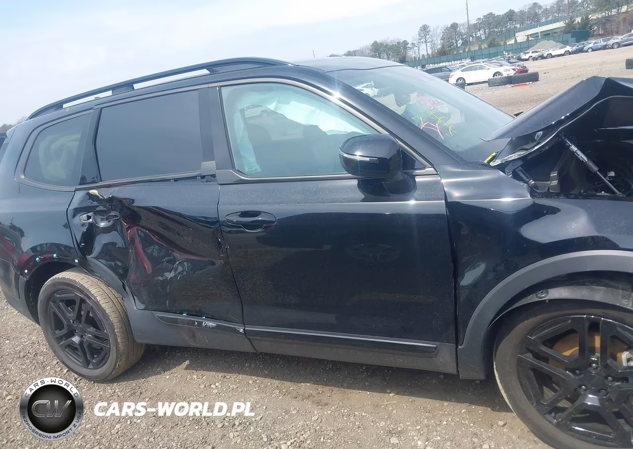 2025 Kia Telluride Ex X-Line VIN:5XYP3DGC4SG667468 - 13