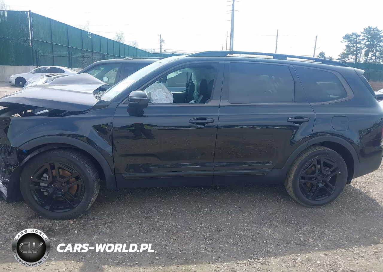 2025 Kia Telluride Ex X-Line VIN:5XYP3DGC4SG667468 - 14