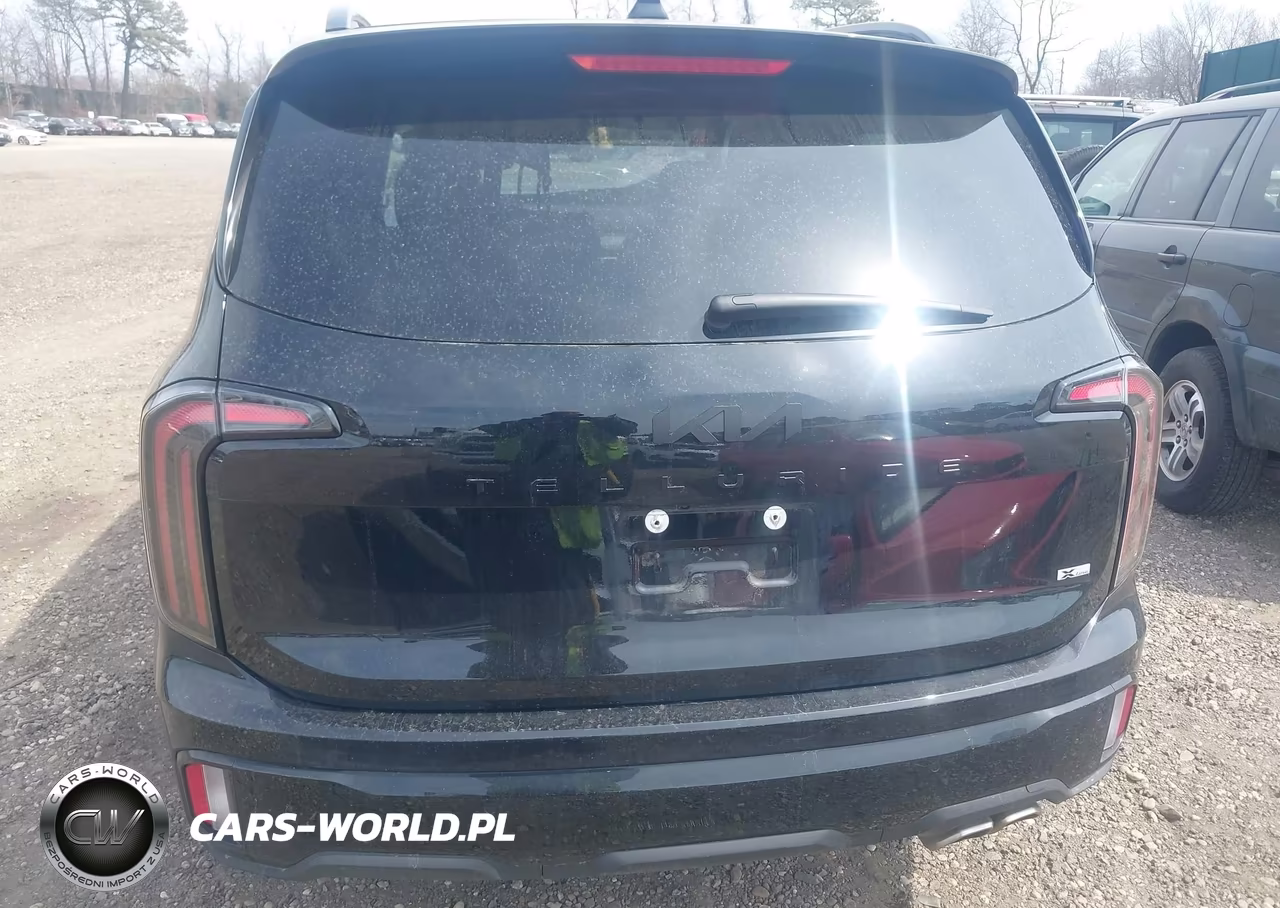 2025 Kia Telluride Ex X-Line VIN:5XYP3DGC4SG667468 - 16