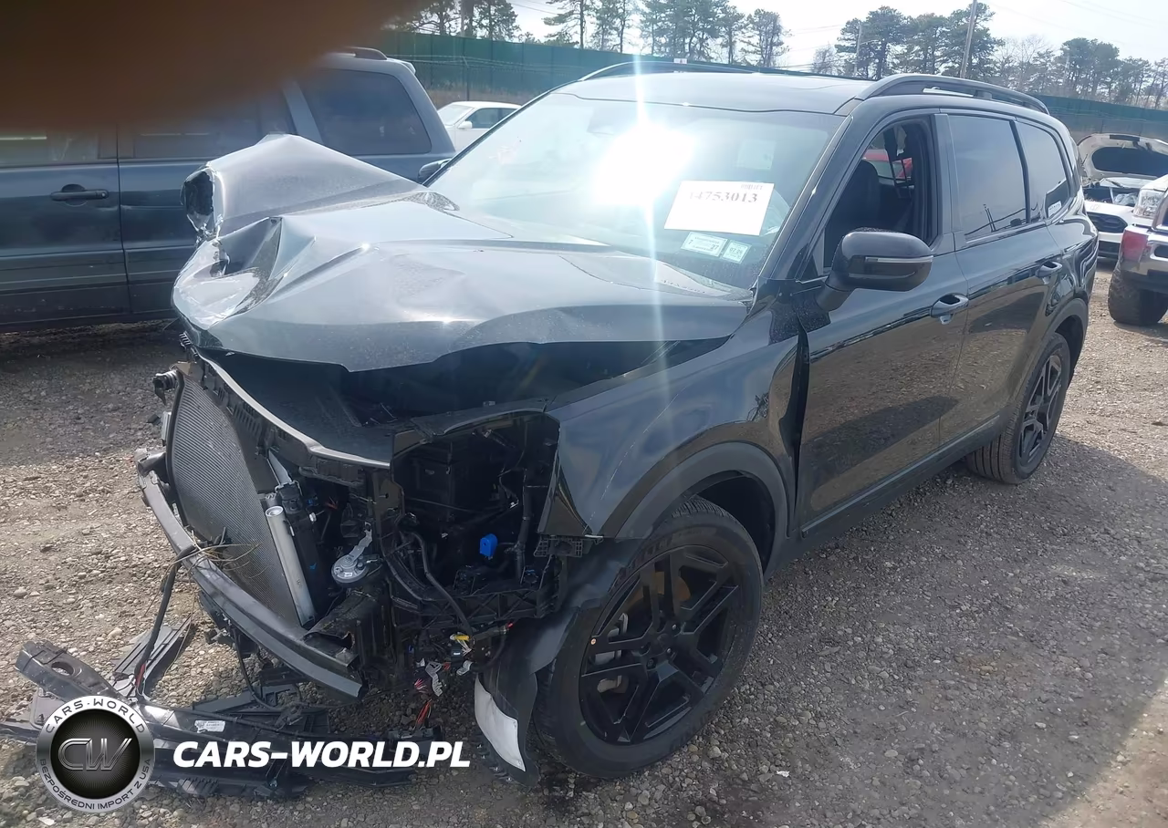 2025 Kia Telluride Ex X-Line VIN:5XYP3DGC4SG667468 - 2