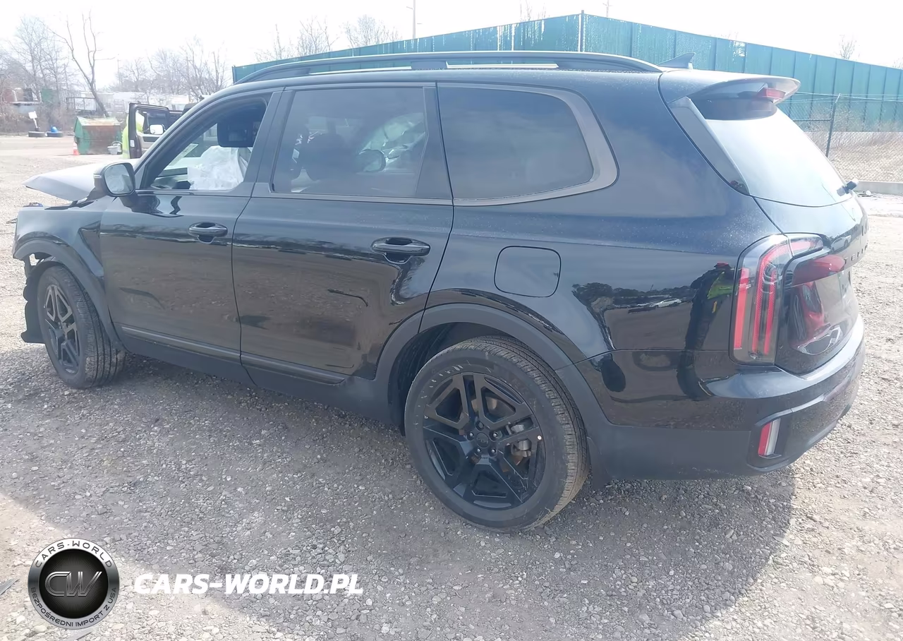 2025 Kia Telluride Ex X-Line VIN:5XYP3DGC4SG667468 - 3