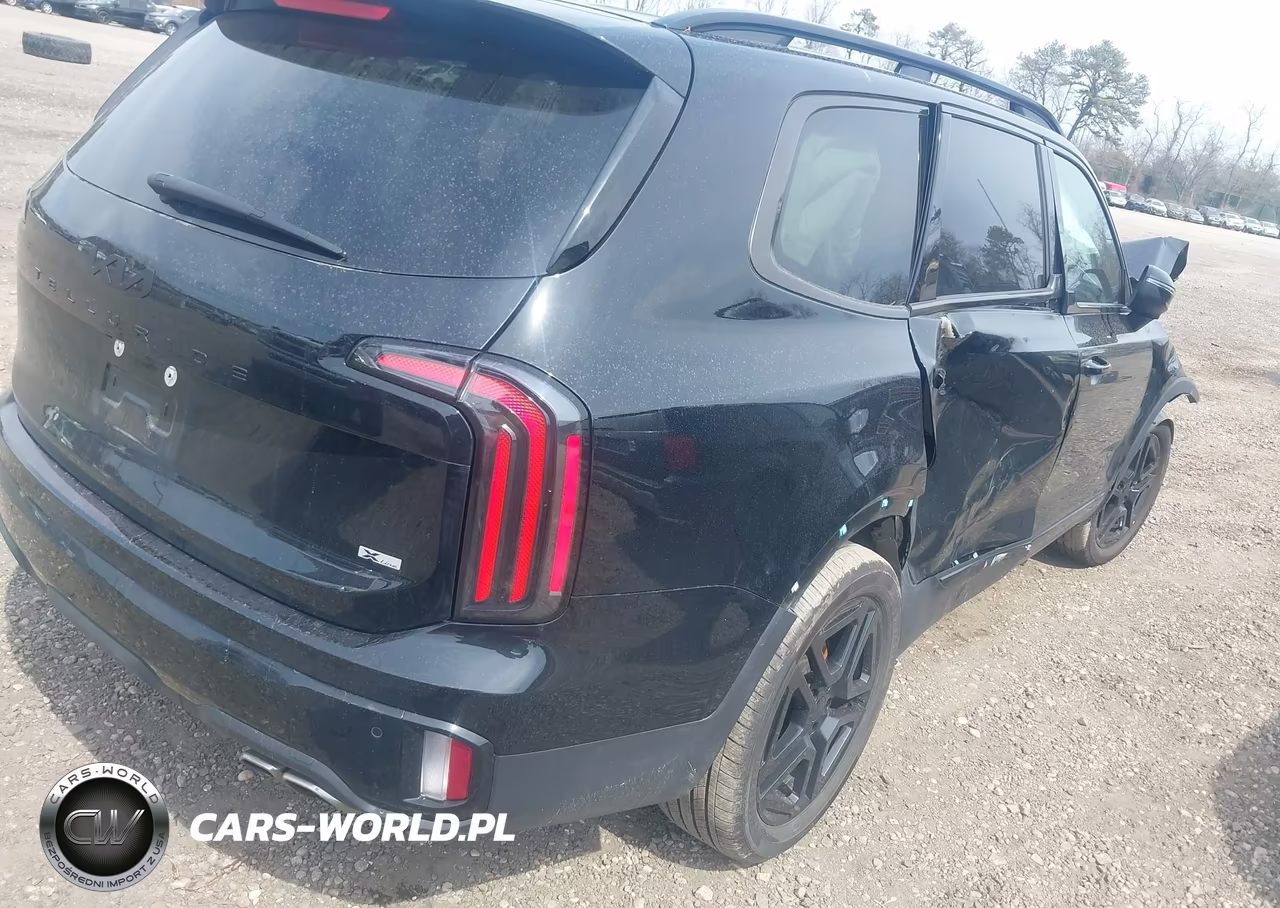 2025 Kia Telluride Ex X-Line VIN:5XYP3DGC4SG667468 - 4