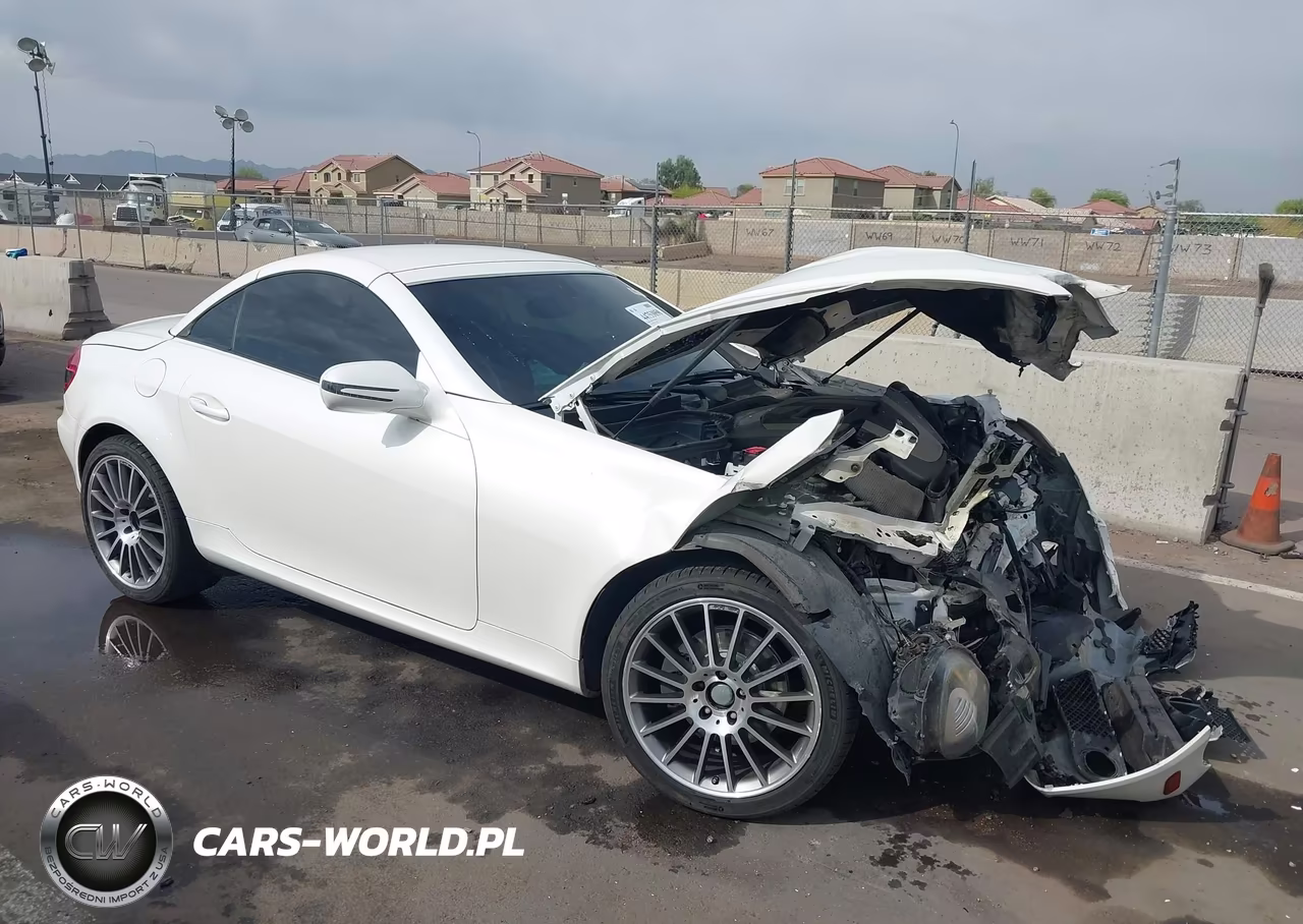 2010 Mercedes-Benz Slk 300
