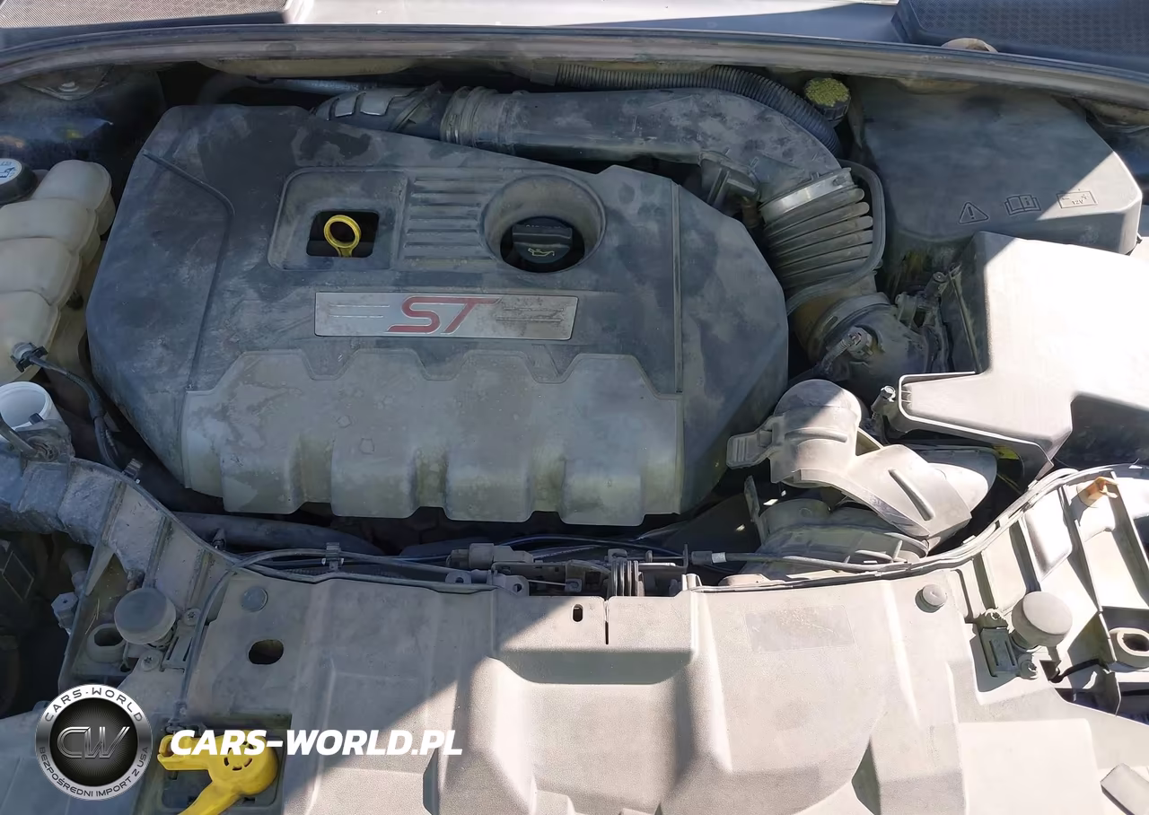 2017 Ford Focus St VIN:1FADP3L98HL244567 - 10