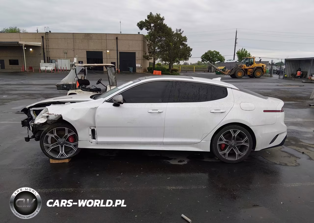2018 Kia Stinger Gt1 VIN:KNAE45LC2J6039973 - 15