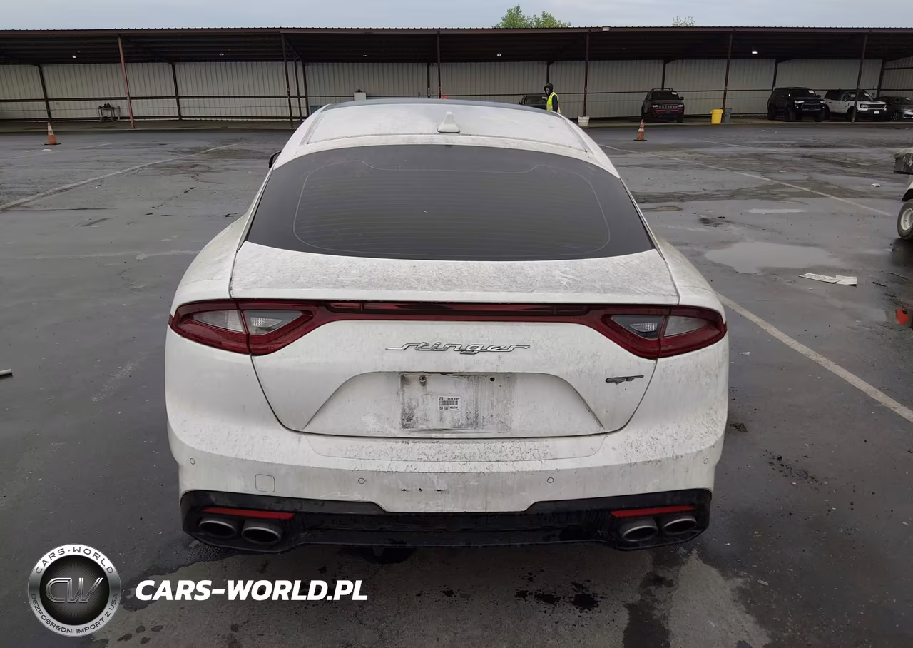 2018 Kia Stinger Gt1 VIN:KNAE45LC2J6039973 - 17