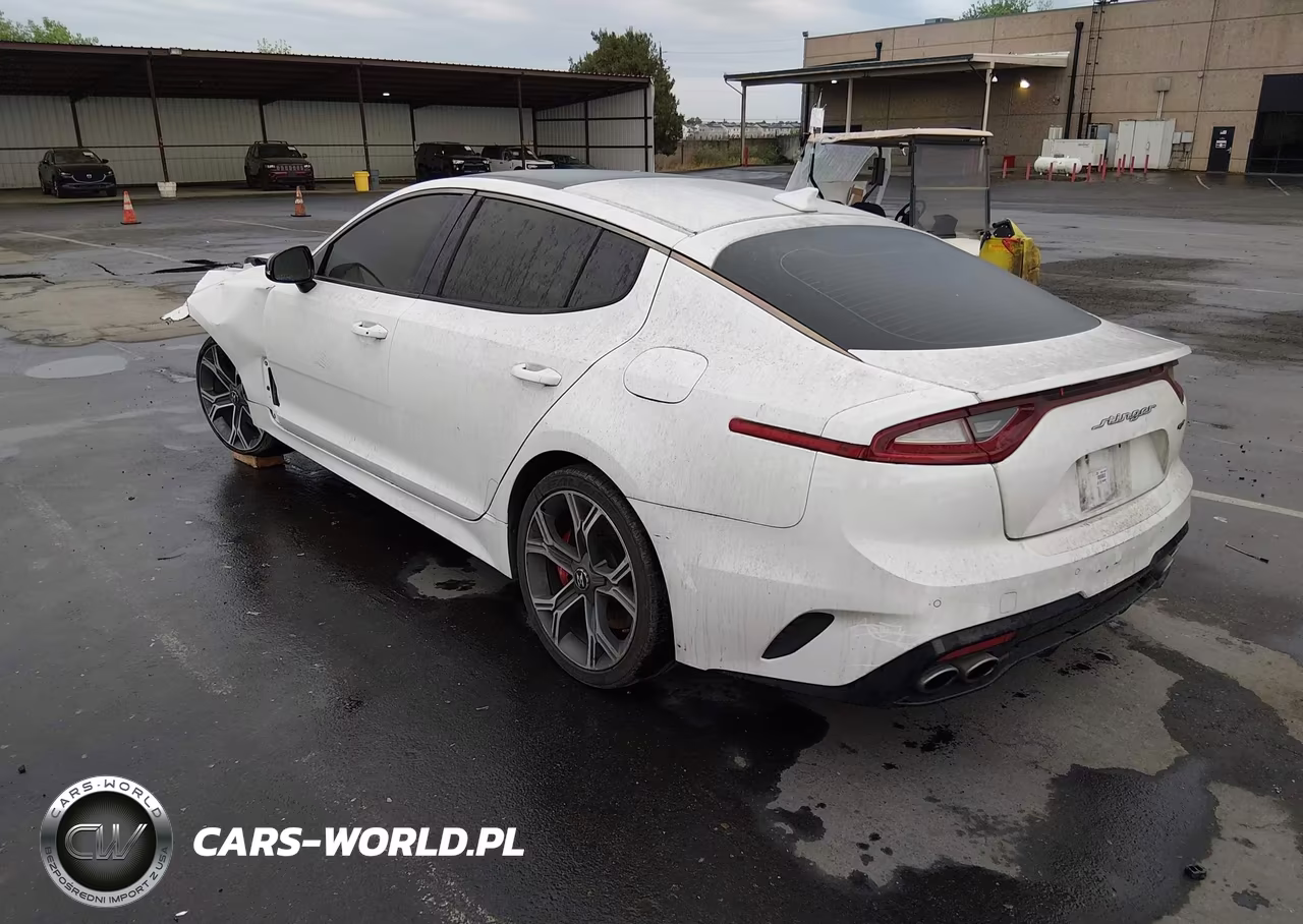 2018 Kia Stinger Gt1 VIN:KNAE45LC2J6039973 - 3