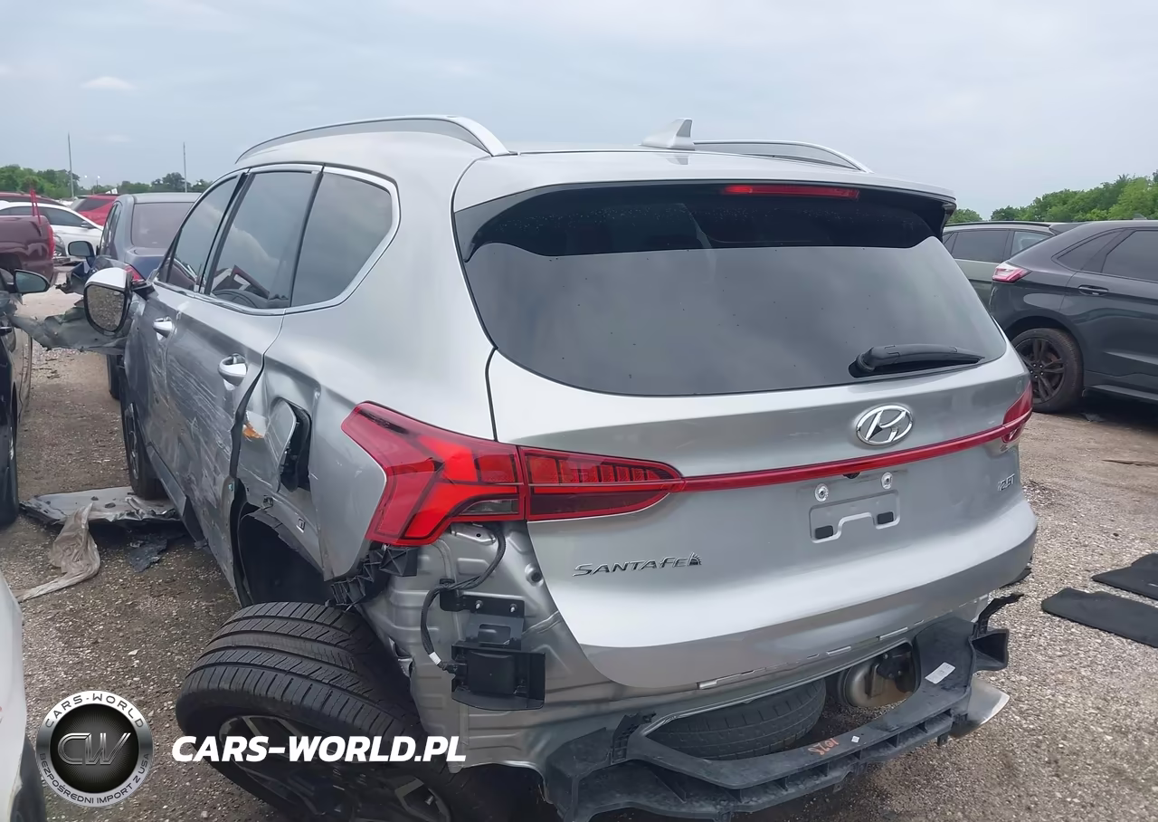 2023 Hyundai Santa Fe Limited VIN:5NMS44AL6PH640401 - 3