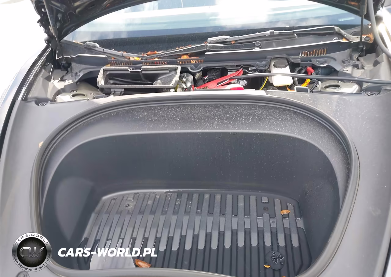 2025 Tesla Model 3 VIN:5YJ3E1EA7SF067625 - 10