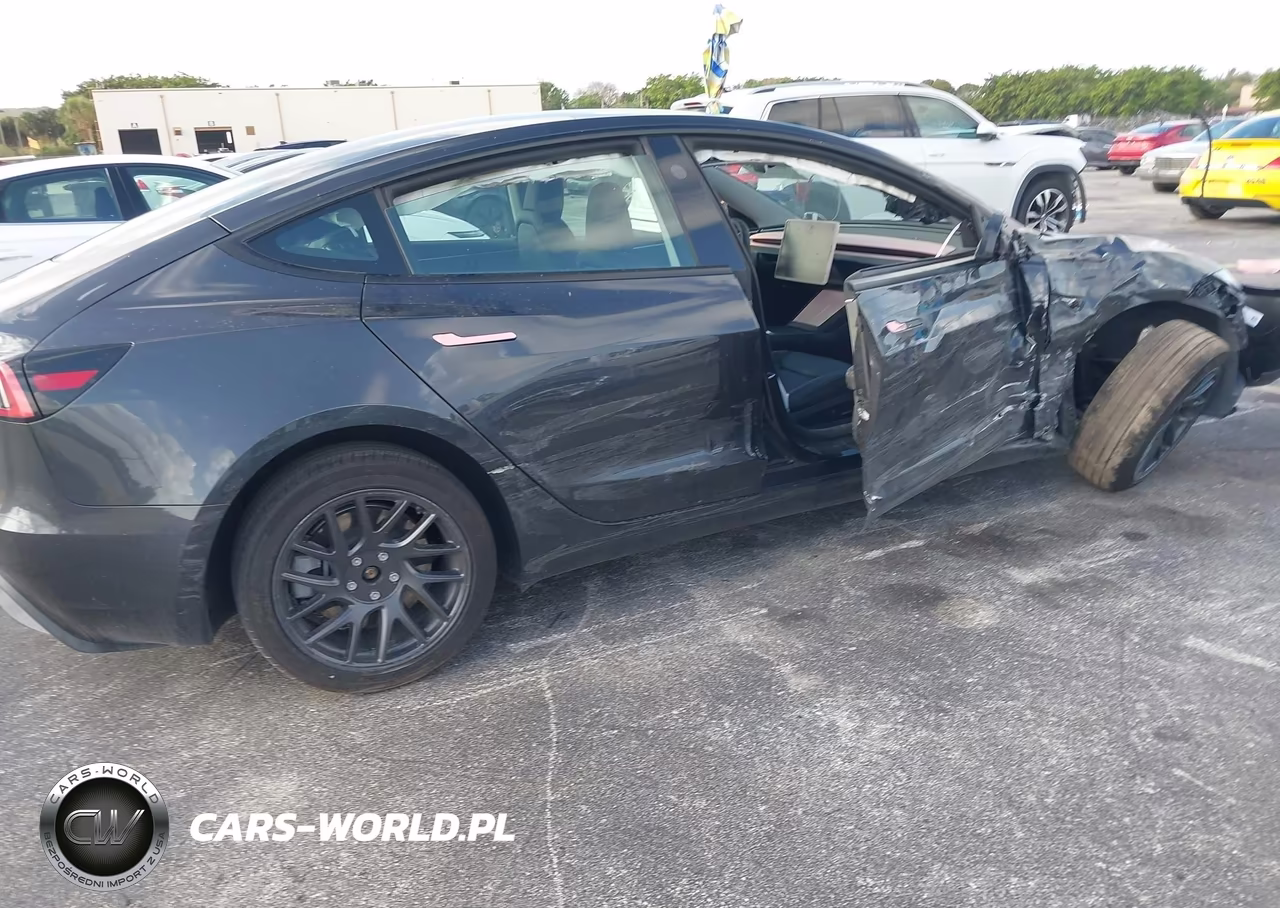 2025 Tesla Model 3 VIN:5YJ3E1EA7SF067625 - 12