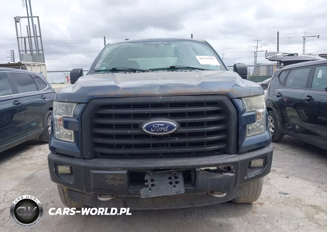 2015 Ford F-150 Xlt VIN:1FTEW1EG5FKD77548 - 12