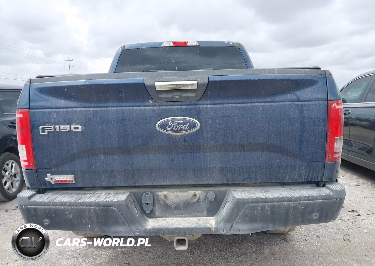 2015 Ford F-150 Xlt VIN:1FTEW1EG5FKD77548 - 16
