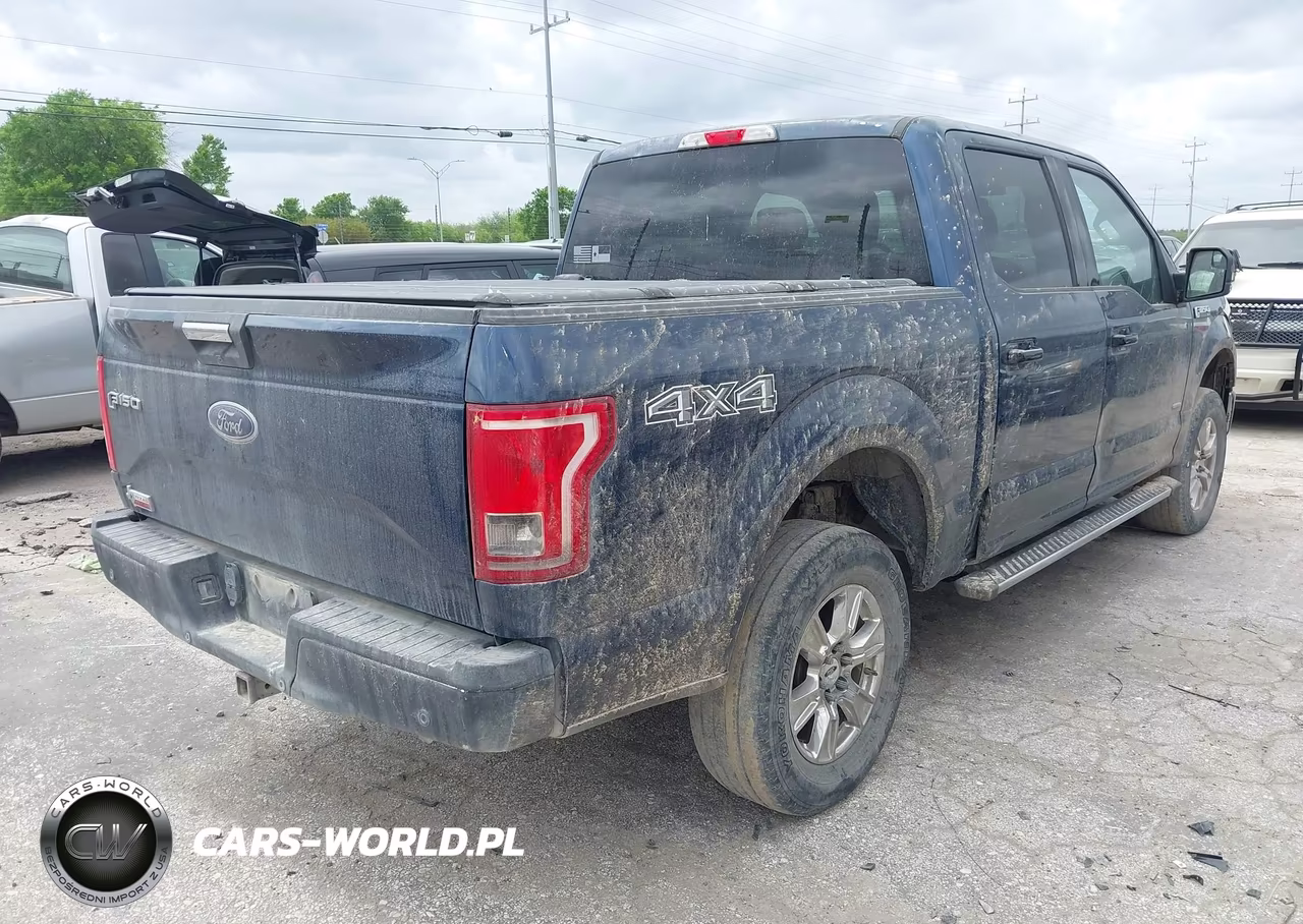 2015 Ford F-150 Xlt VIN:1FTEW1EG5FKD77548 - 4