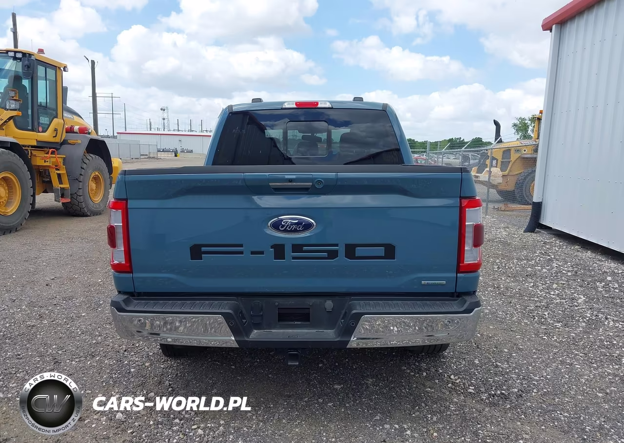 2023 Ford F-150 Lariat VIN:1FTEW1CP8PKE36158 - 17