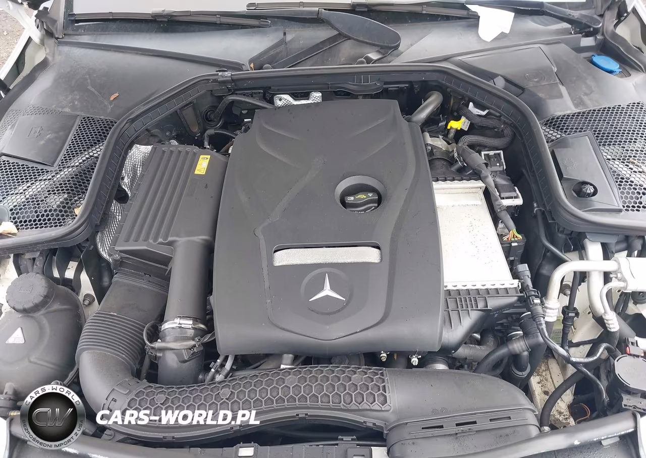 2017 Mercedes-Benz C 300 4Matic VIN:55SWF4KB6HU226120 - 10