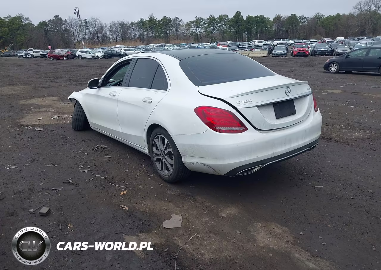 2017 Mercedes-Benz C 300 4Matic VIN:55SWF4KB6HU226120 - 3