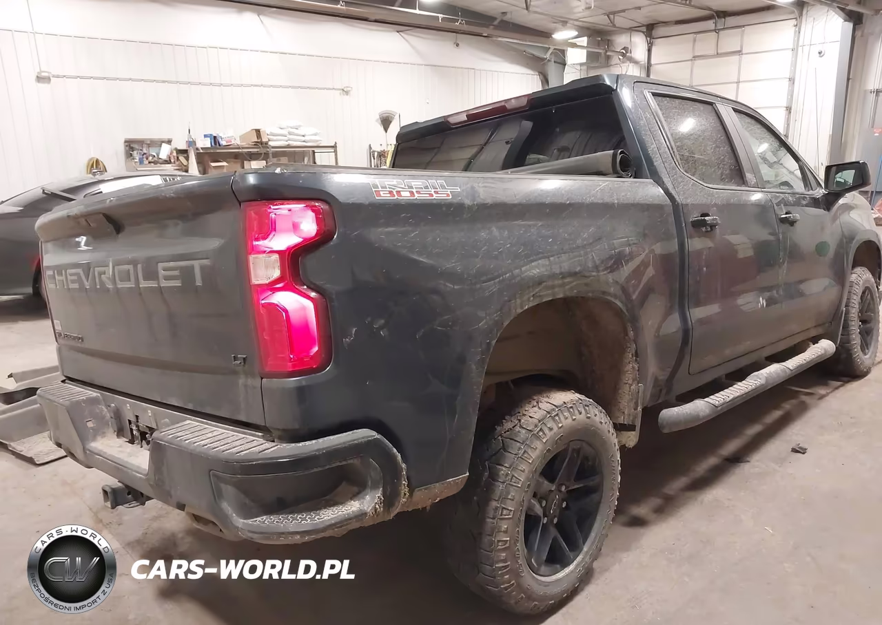 2020 Chevrolet Silverado 1500 4Wd Short Bed Lt Trail Boss VIN:3GCPYFED7LG414608 - 4