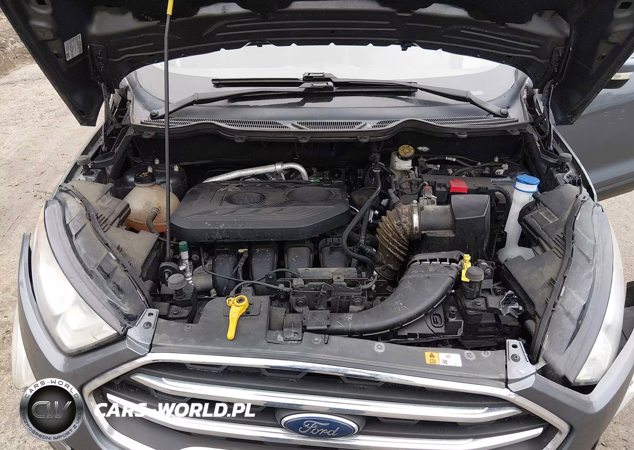 2018 Ford Ecosport Titanium VIN:MAJ6P1WL1JC246722 - 10