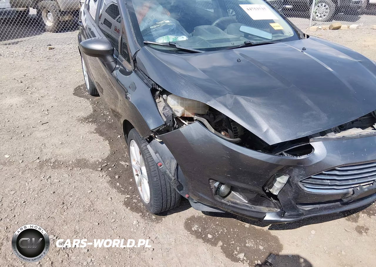 2017 Ford Fiesta Se VIN:3FADP4BJ1HM109320 - 19