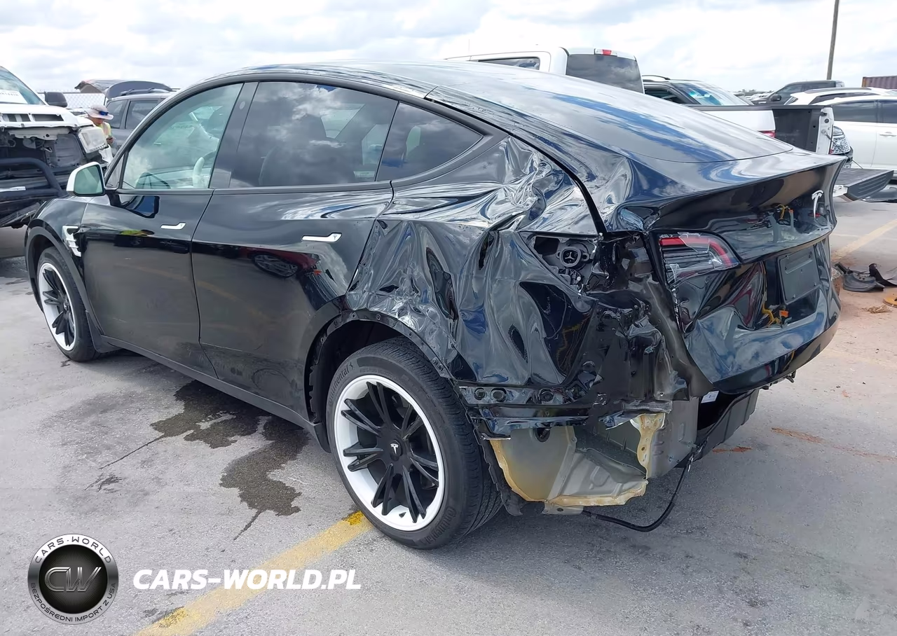 2023 Tesla Model Y VIN:7SAYGAEE4PF646522 - 3
