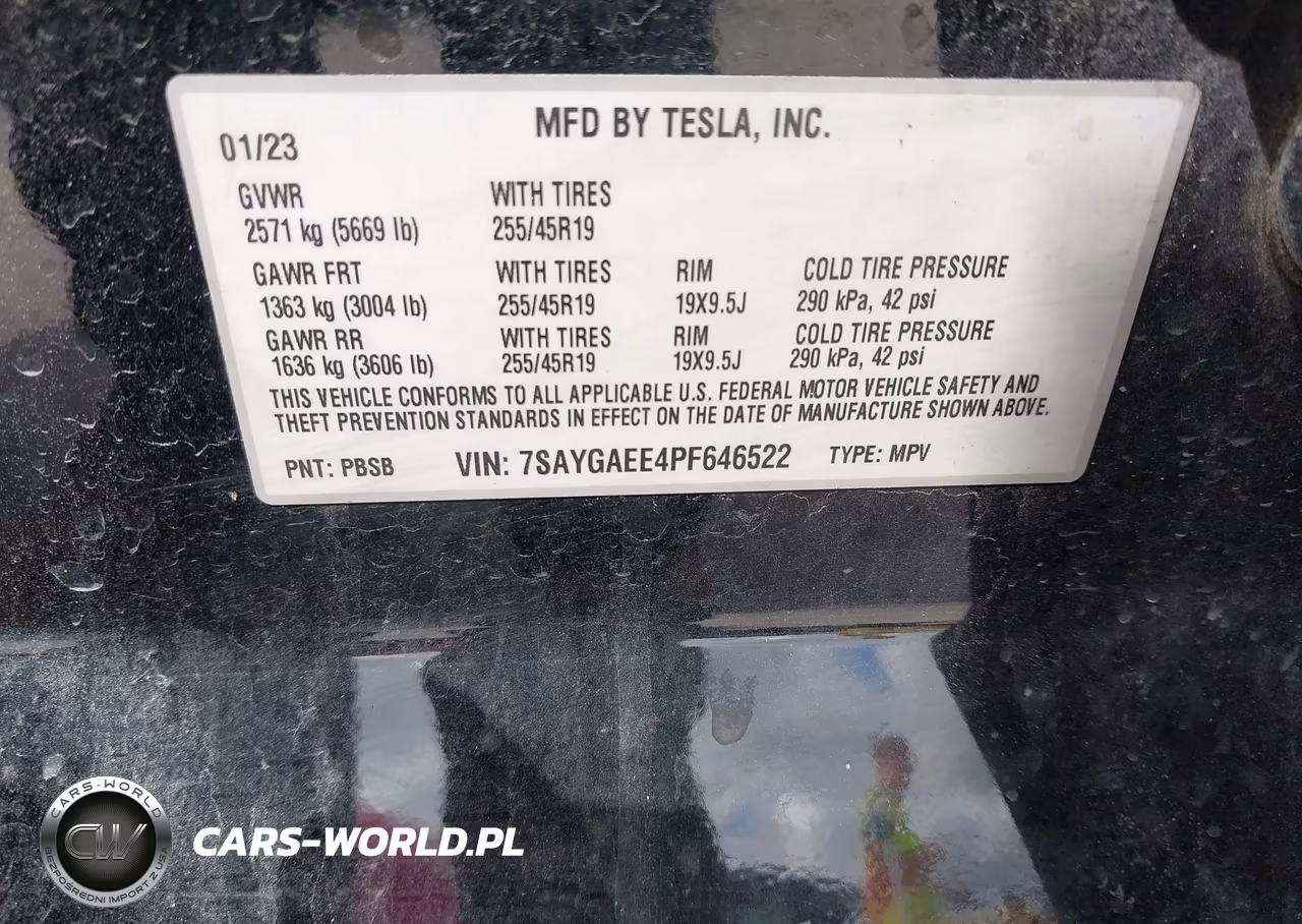 2023 Tesla Model Y VIN:7SAYGAEE4PF646522 - 9