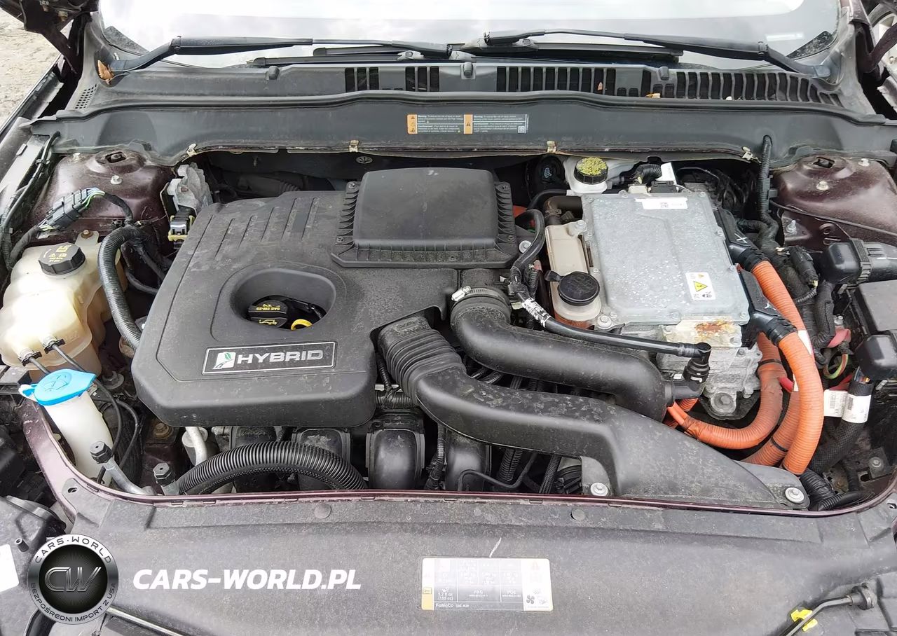 2013 Ford Fusion Hybrid Se VIN:3FA6P0LU1DR251738 - 10