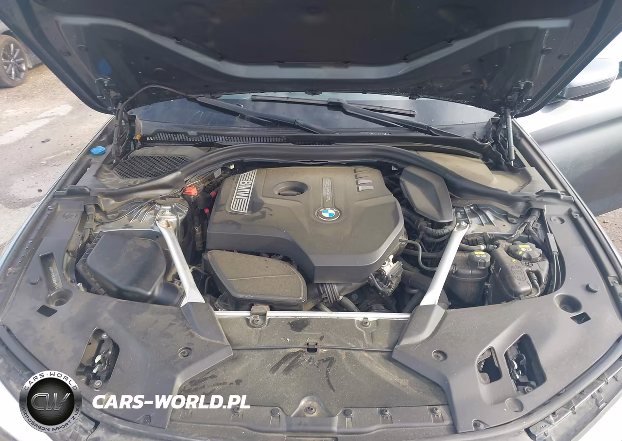 2019 BMW 530I xDrive VIN:WBAJA7C53KWW11574 - 10