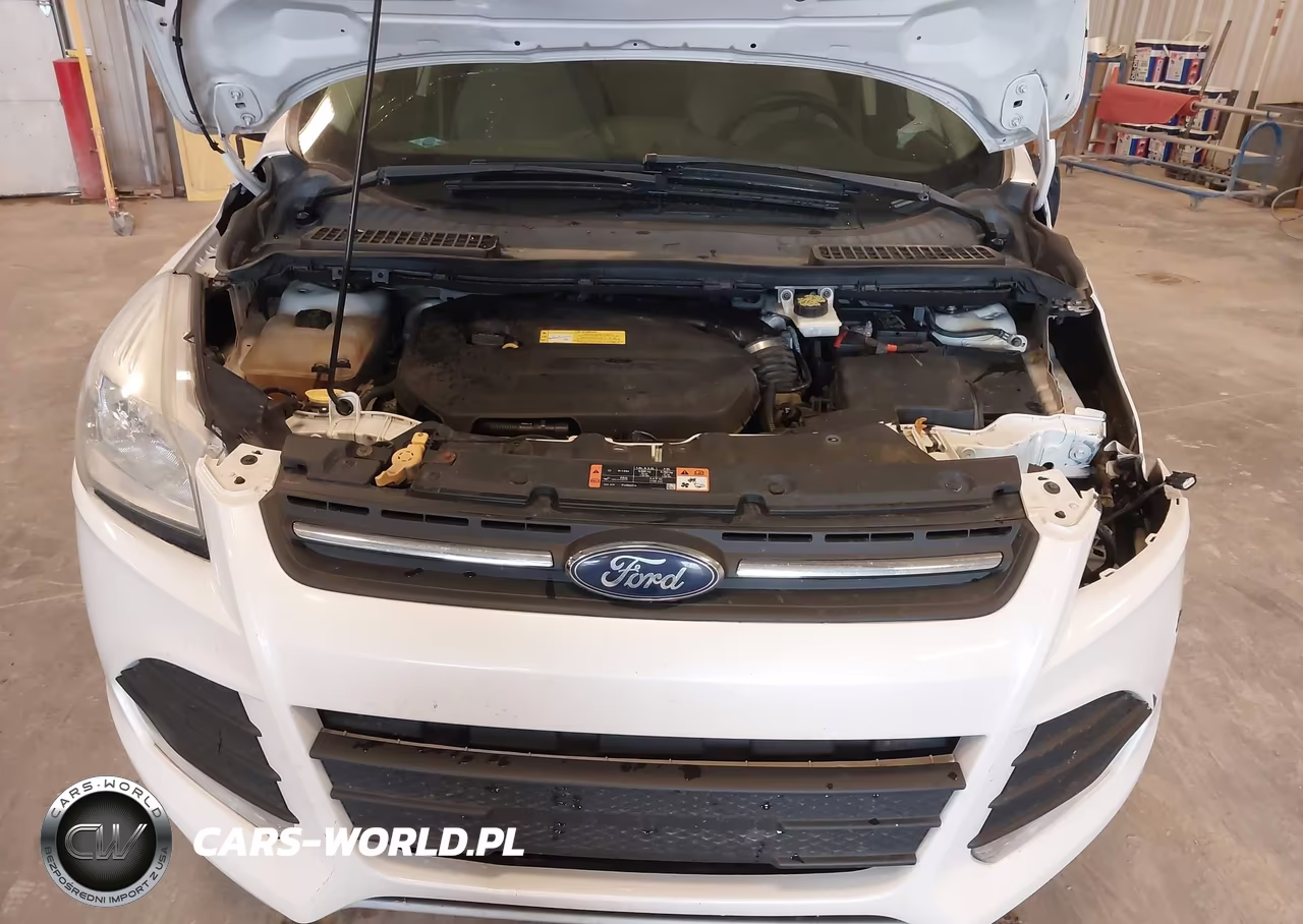 2015 Ford Escape Se VIN:1FMCU0GXXFUC48709 - 10