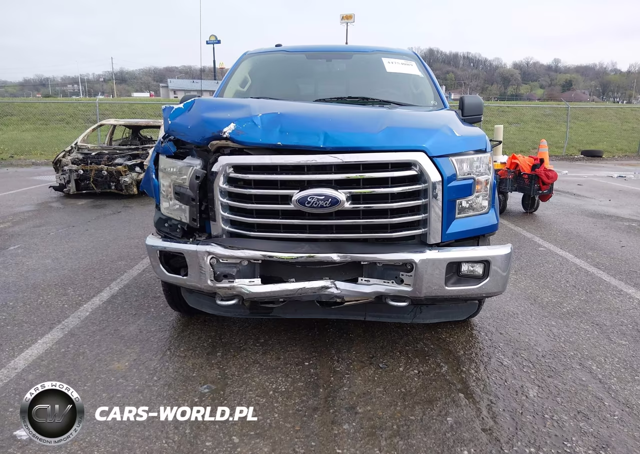 2016 Ford F-150 Xlt VIN:1FTEW1E80GKD50123 - 12
