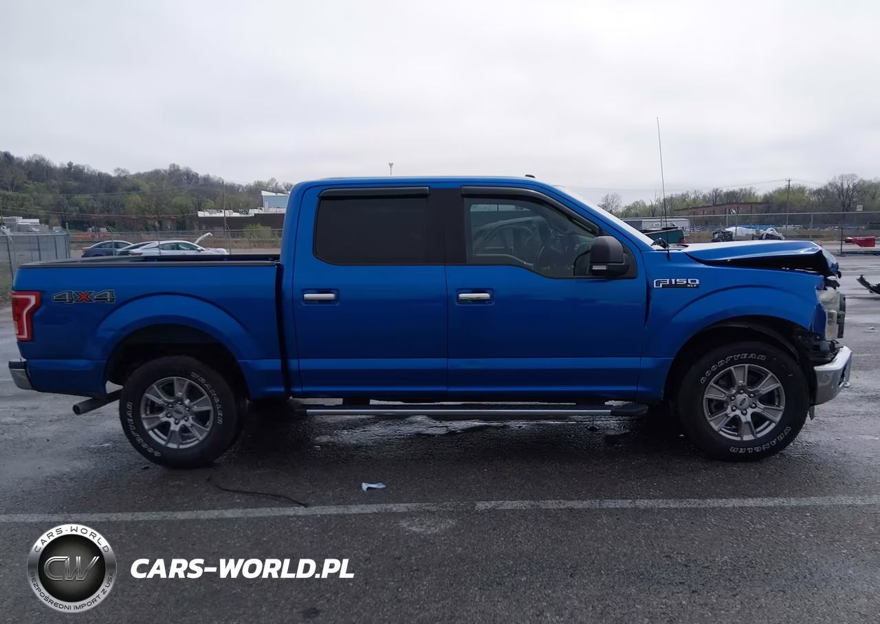2016 Ford F-150 Xlt VIN:1FTEW1E80GKD50123 - 13