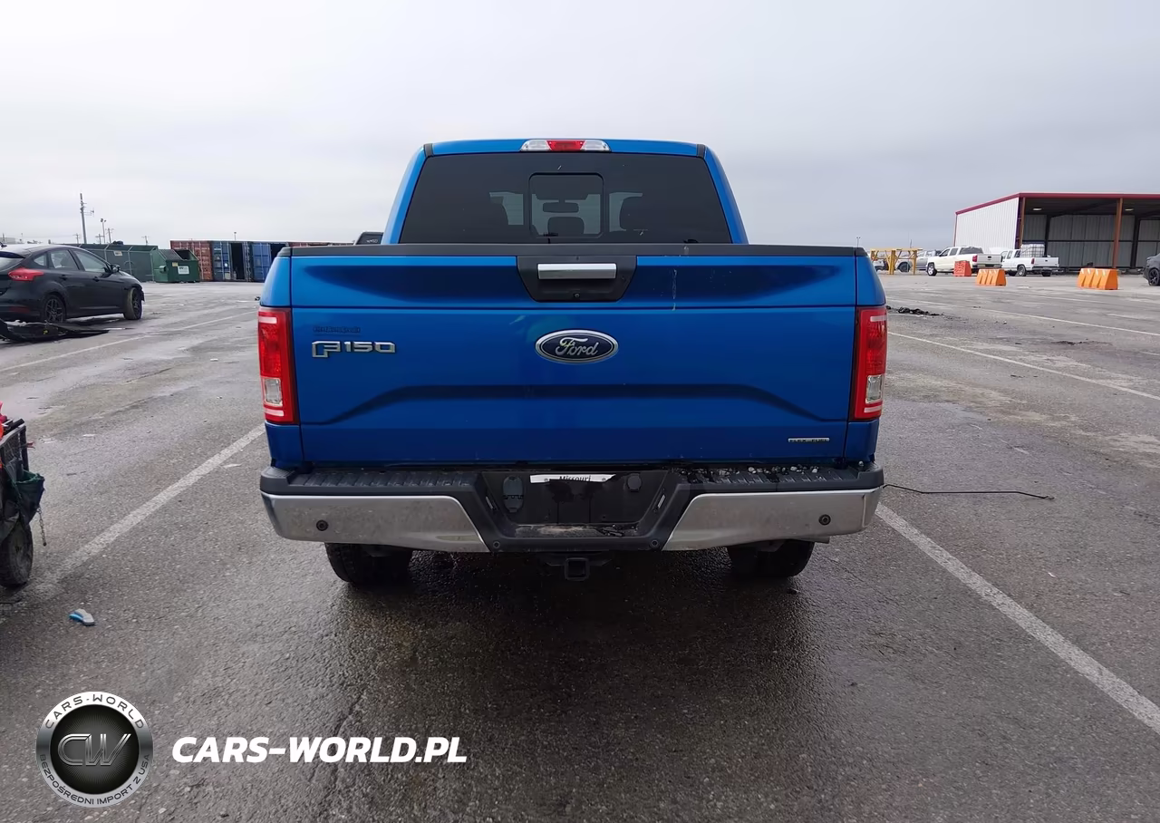 2016 Ford F-150 Xlt VIN:1FTEW1E80GKD50123 - 16
