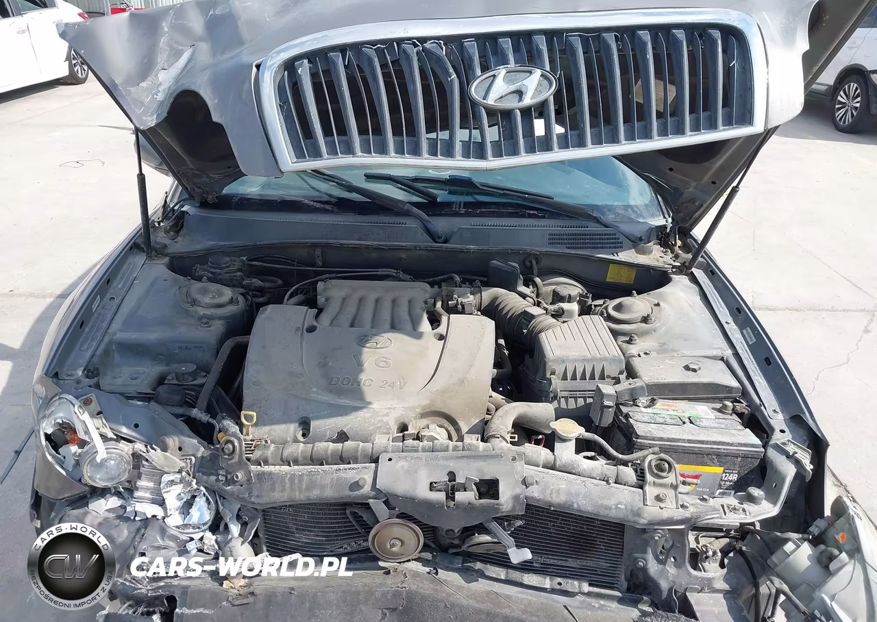 2004 Hyundai Sonata Gls-Lx VIN:KMHWF35H54A975453 - 10