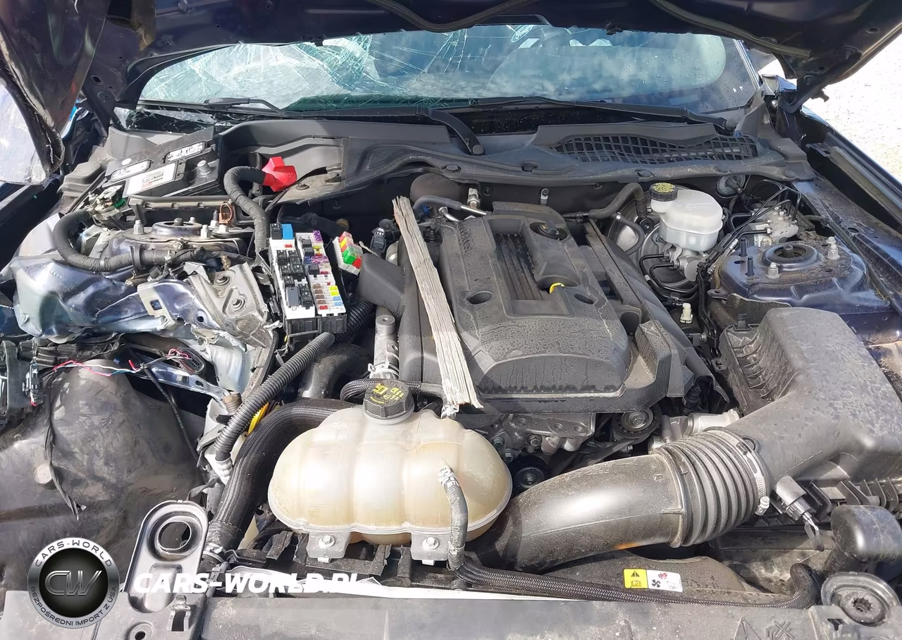 2018 Ford Mustang Ecoboost VIN:1FA6P8TH6J5106677 - 10