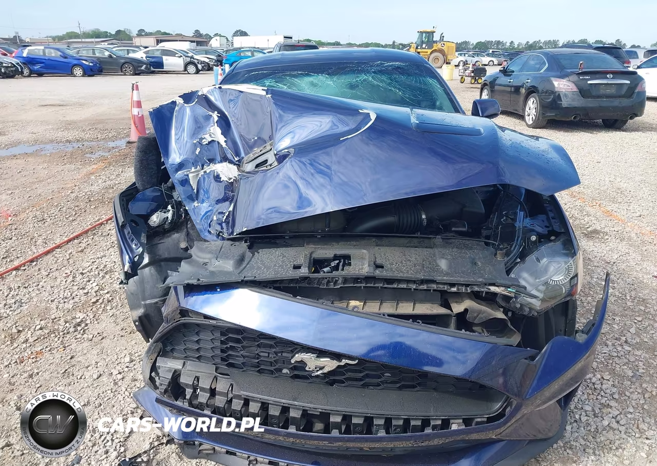 2018 Ford Mustang Ecoboost VIN:1FA6P8TH6J5106677 - 12