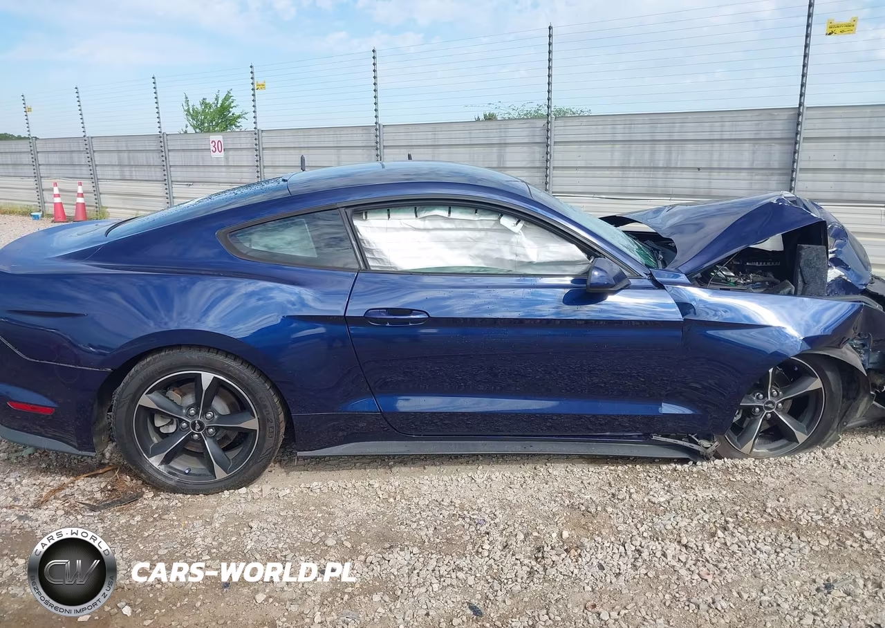 2018 Ford Mustang Ecoboost VIN:1FA6P8TH6J5106677 - 13