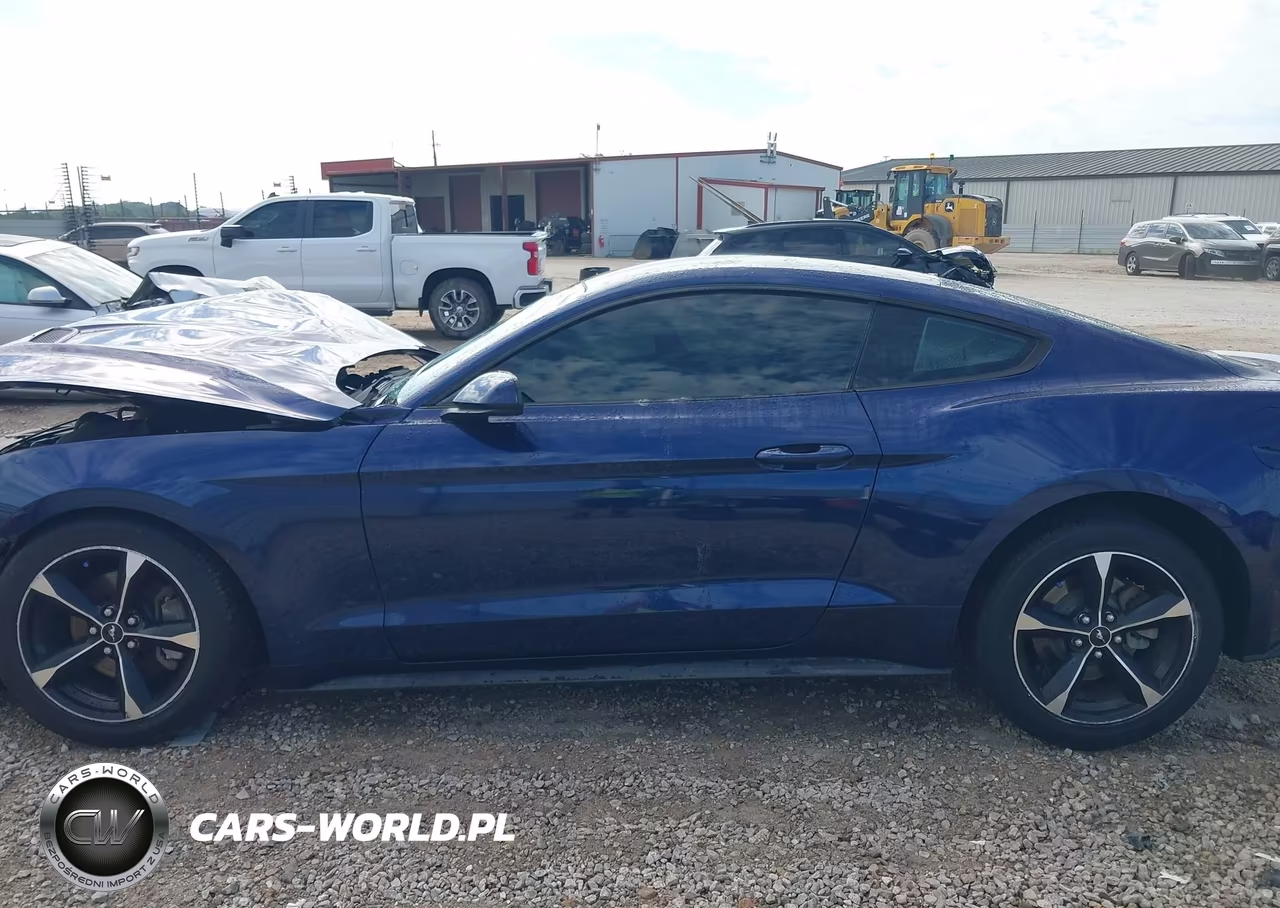 2018 Ford Mustang Ecoboost VIN:1FA6P8TH6J5106677 - 14