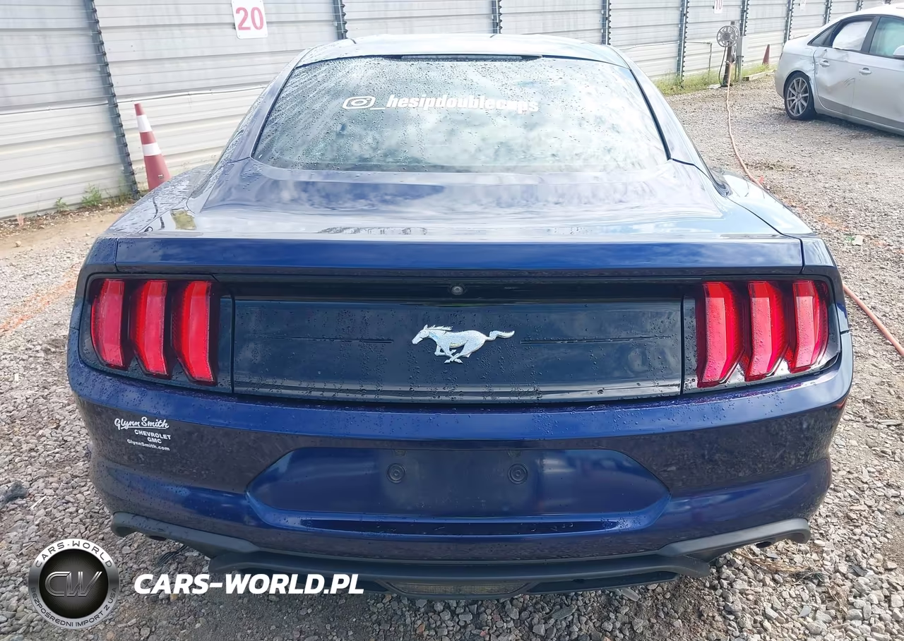 2018 Ford Mustang Ecoboost VIN:1FA6P8TH6J5106677 - 16