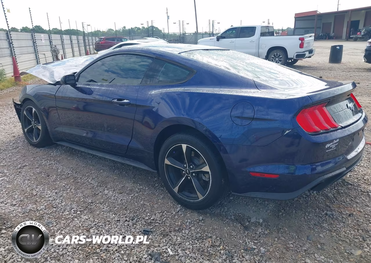 2018 Ford Mustang Ecoboost VIN:1FA6P8TH6J5106677 - 3