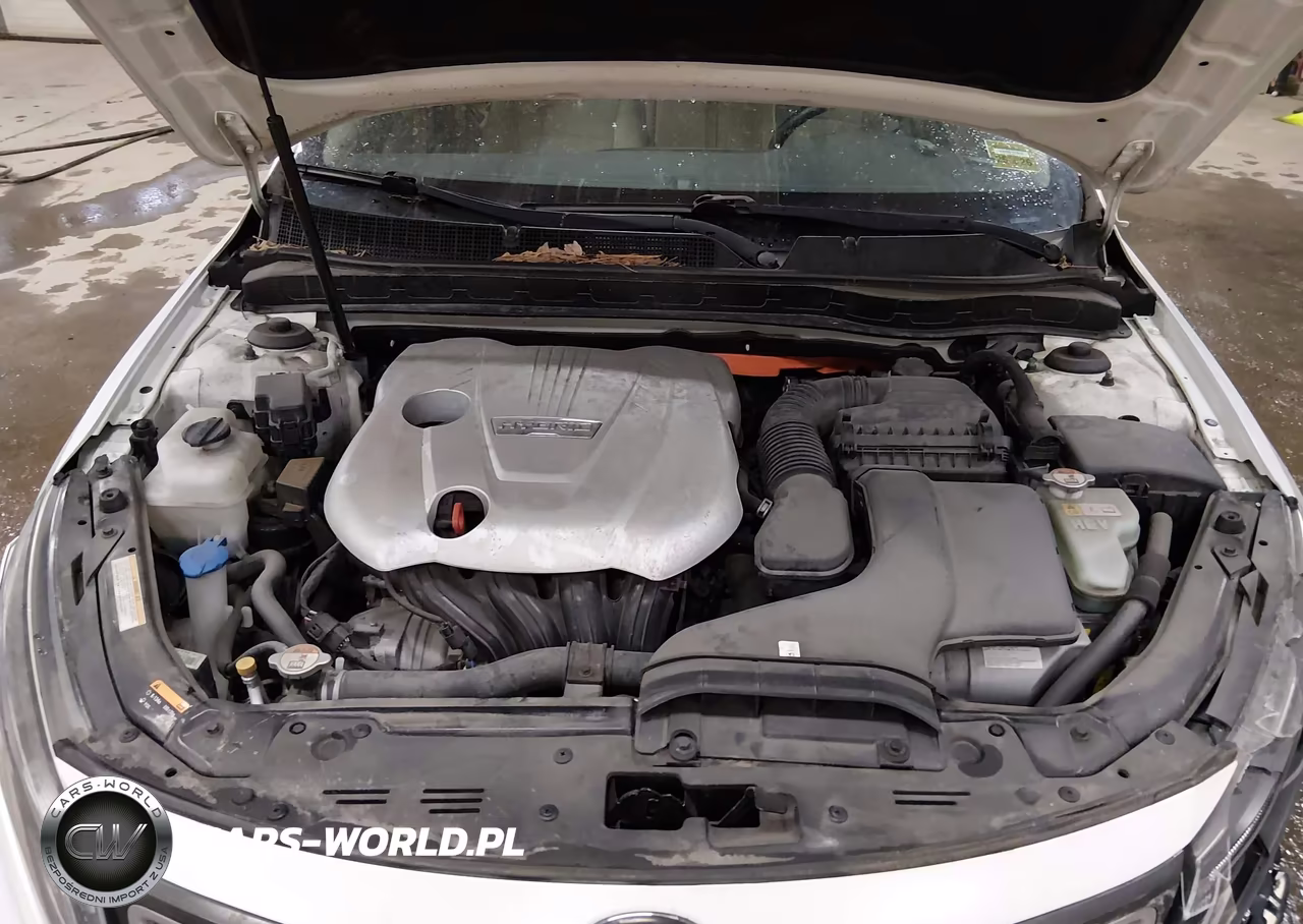2016 Kia Optima Hybrid VIN:KNAGM4AD9G5092568 - 10