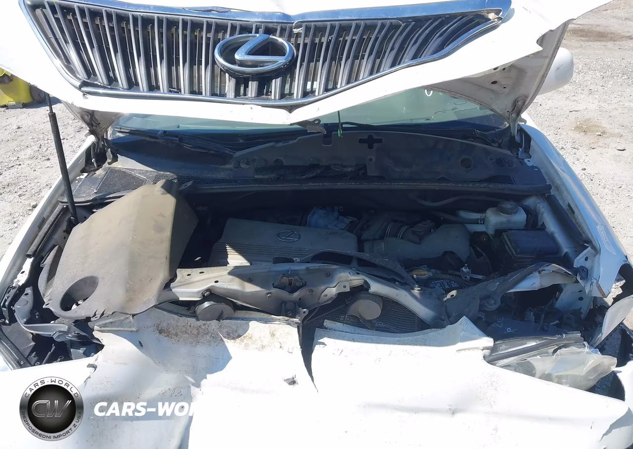 2006 Lexus Rx 330 VIN:2T2GA31U96C043924 - 10